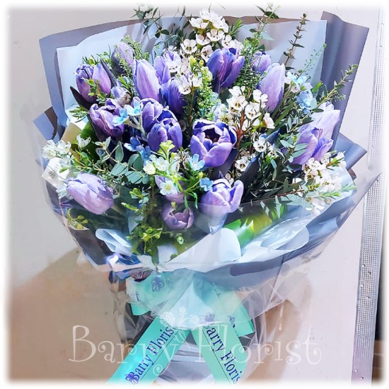 BOU 0167  Tulip 20