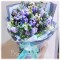 BOU 0167  Tulip 20
