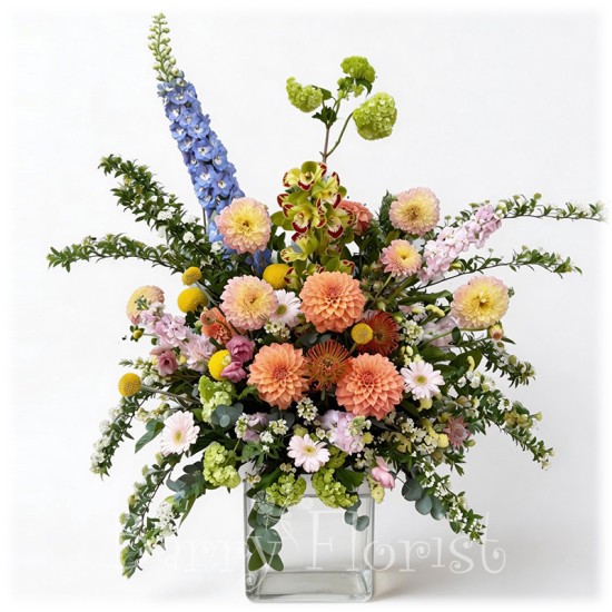 ARR 0050 大飛燕 大利花+玉秀球 枱花